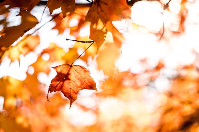 The Fall Colors of Trento