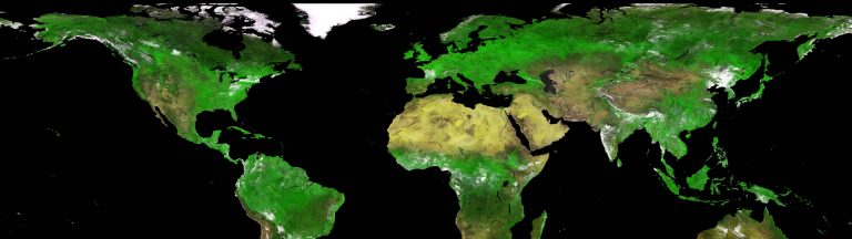 Food & Agriculture Organization of the U.N. – Hunger Map