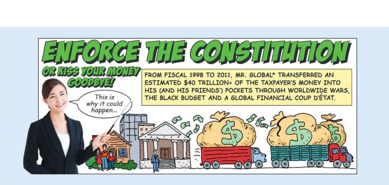 Solari Toon: Enforce the Constitution