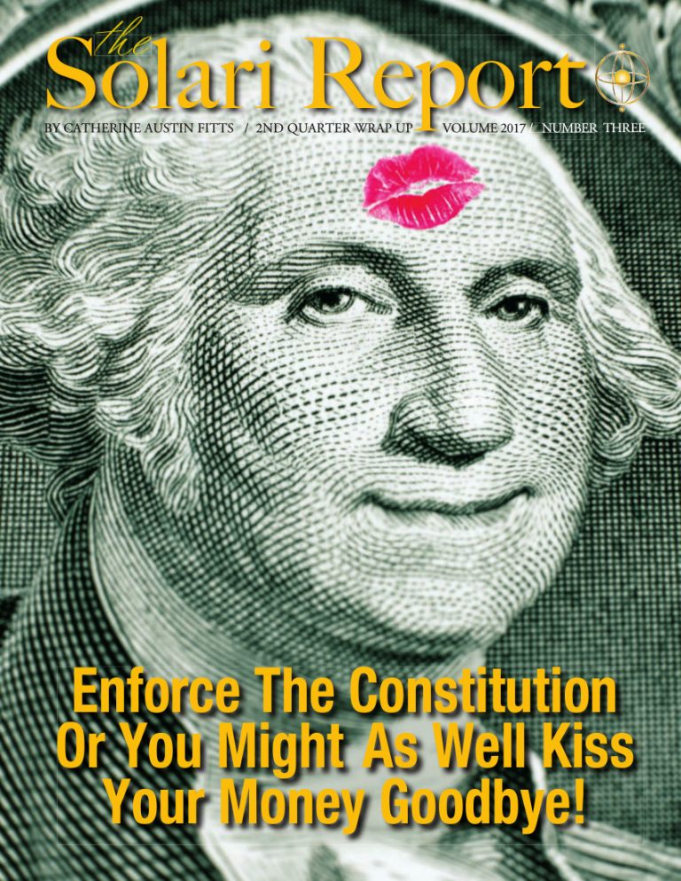 Flipbook and PDF of the 2017 2nd Quarter Wrap Up – Enforce the Constitution – Now Available