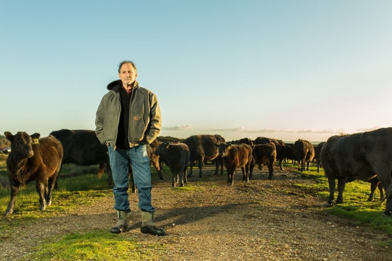 Solari Food Series – Bill Niman – The Godfather of Grass-Fed