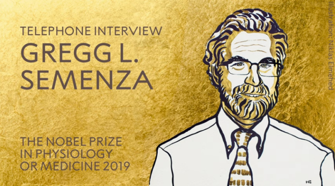 Hero of the Week: December 5, 2019 –  Gregg Semenza, 2019 Nobel Prize Winner