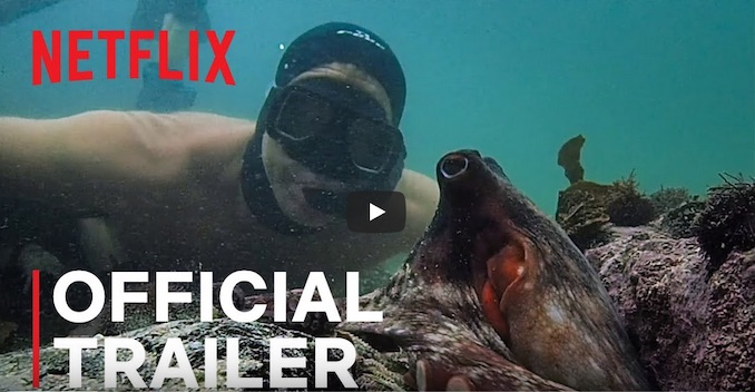 Documentary of the Year – 2020 – My Octopus Teacher