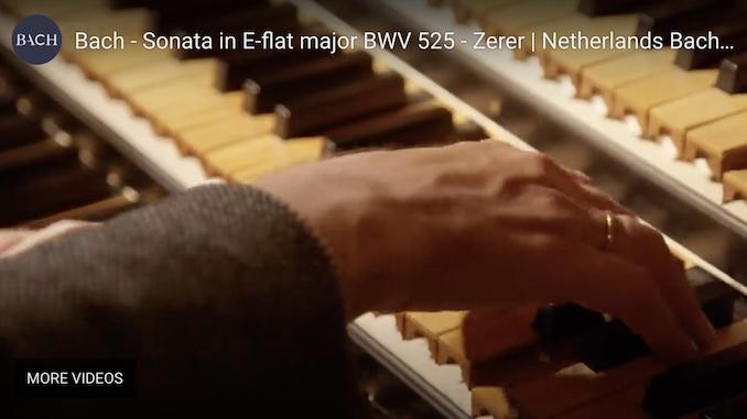 Music of the Week: November 5, 2021: Bach – Sonata in E-flat major BWV 525 – Zerer | Netherlands Bach Society