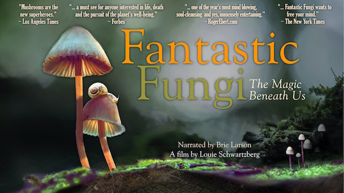 Let’s Go to the Movies: Week of February 27, 2023: Fantastic Fungi