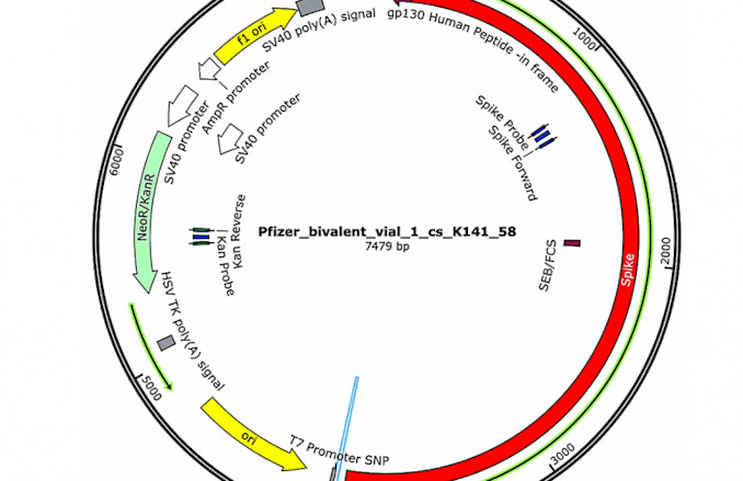 COVID-19 mRNA vaccines contain excessive quantities of bacterial DNA: evidence and implications