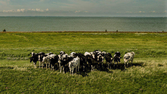 Now available in Dutch – 2nd Quarter 2023 Wrap Up: Dutch Farmers and Fishermen: The People Who Feed Us